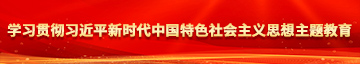 美女bb啊啊啊学习贯彻习近平新时代中国特色社会主义思想主题教育